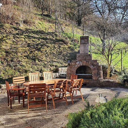 Grosses Ferienhaus Sauerburgblick Sauerthal Ngoại thất bức ảnh