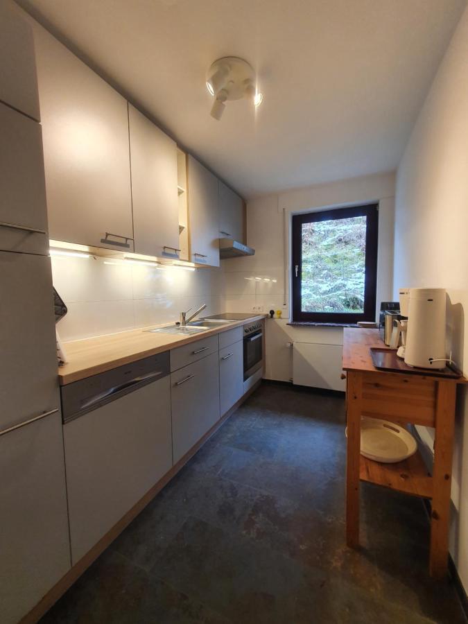 Grosses Ferienhaus Sauerburgblick Sauerthal Ngoại thất bức ảnh