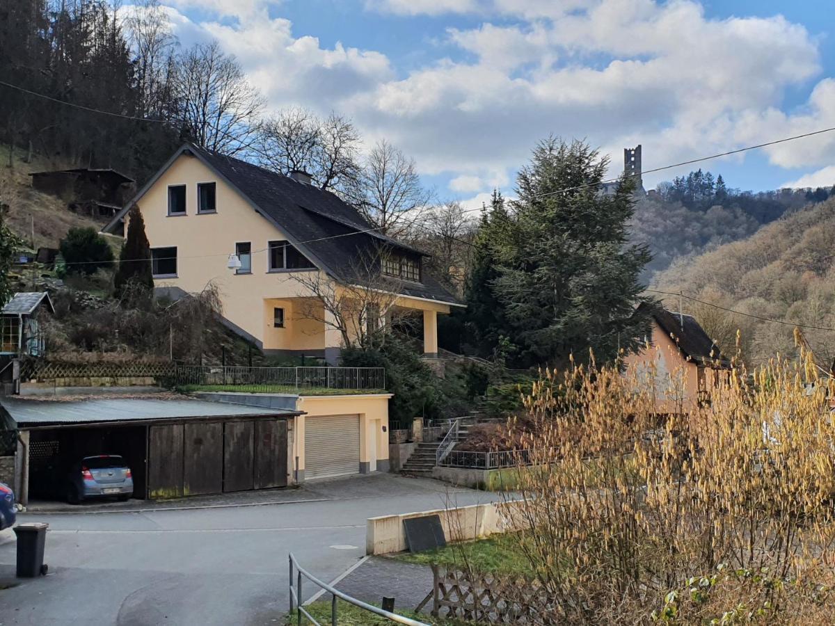 Grosses Ferienhaus Sauerburgblick Sauerthal Ngoại thất bức ảnh